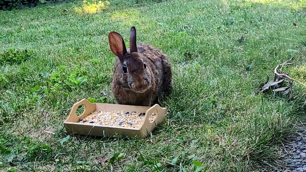 It is my meal time with my baby. 😋 