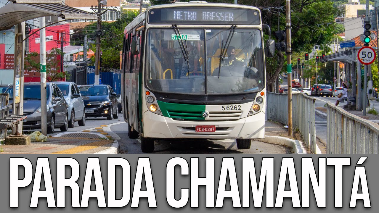 Parada Chamantá (Avenida Paes de Barros) - Movimentação de Ônibus #285
