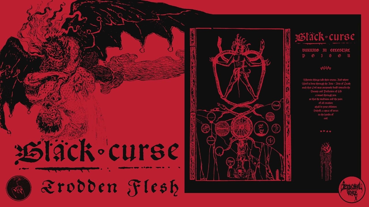 BLACK CURSE - Trodden Flesh