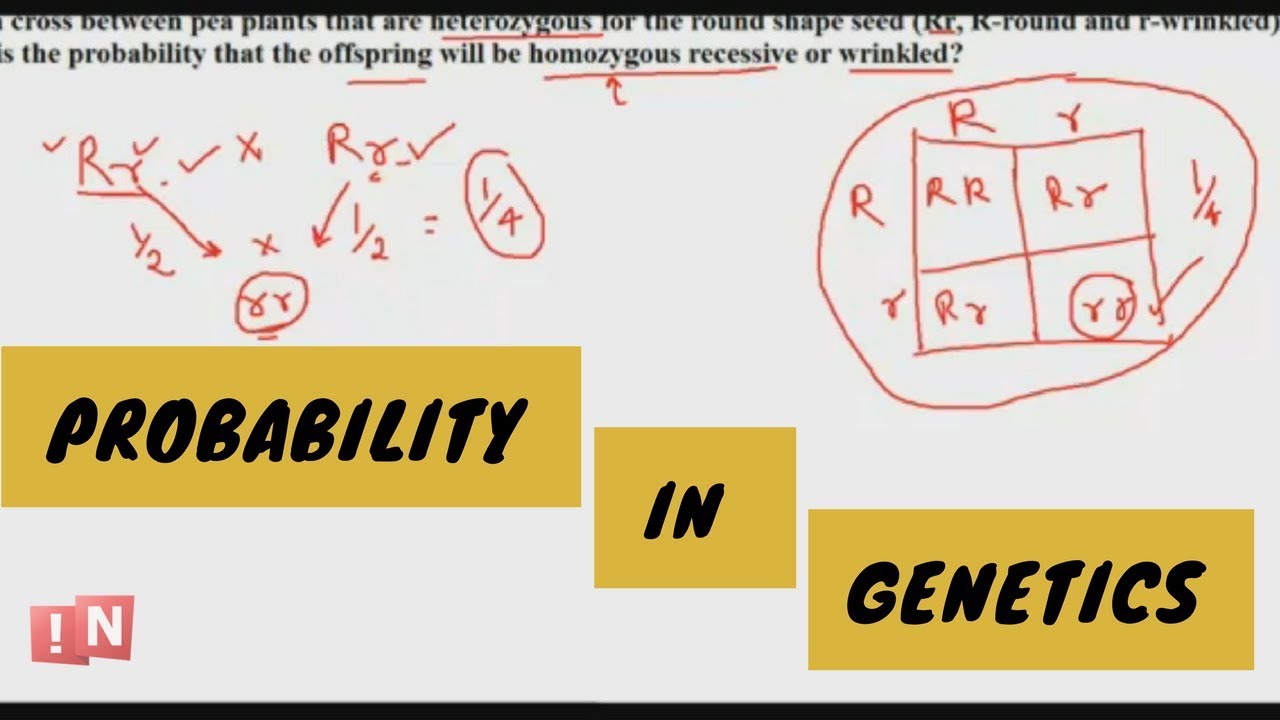 Probability in Genetics - It is Not that Difficult!