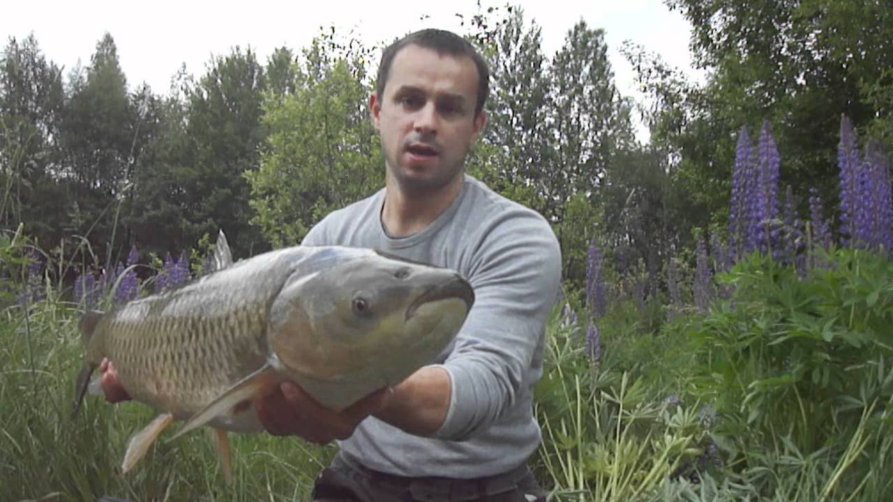 Video pamietnik nr.19 Łowienie z marszu