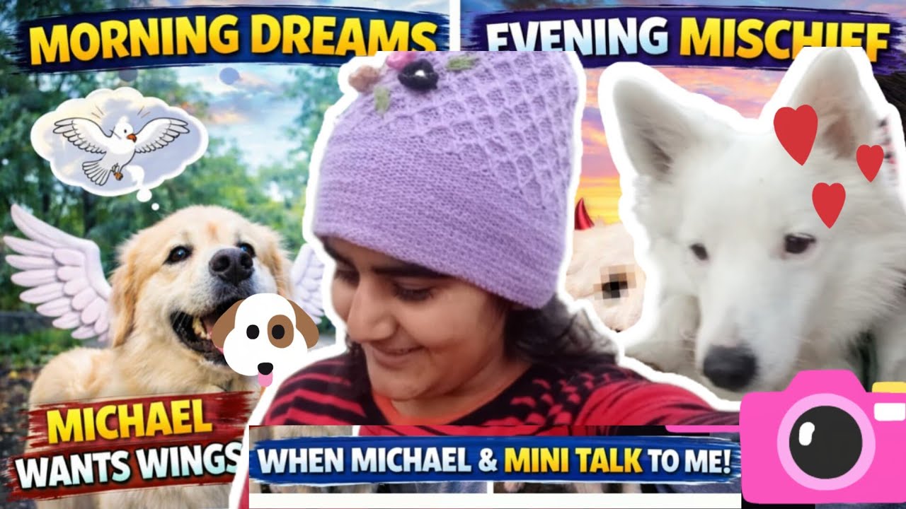 POV: Jab aapke dogs aapse demands karne lage 🐶😂Michael ko wings chahiye aur Mini ban gayi badmash 😭