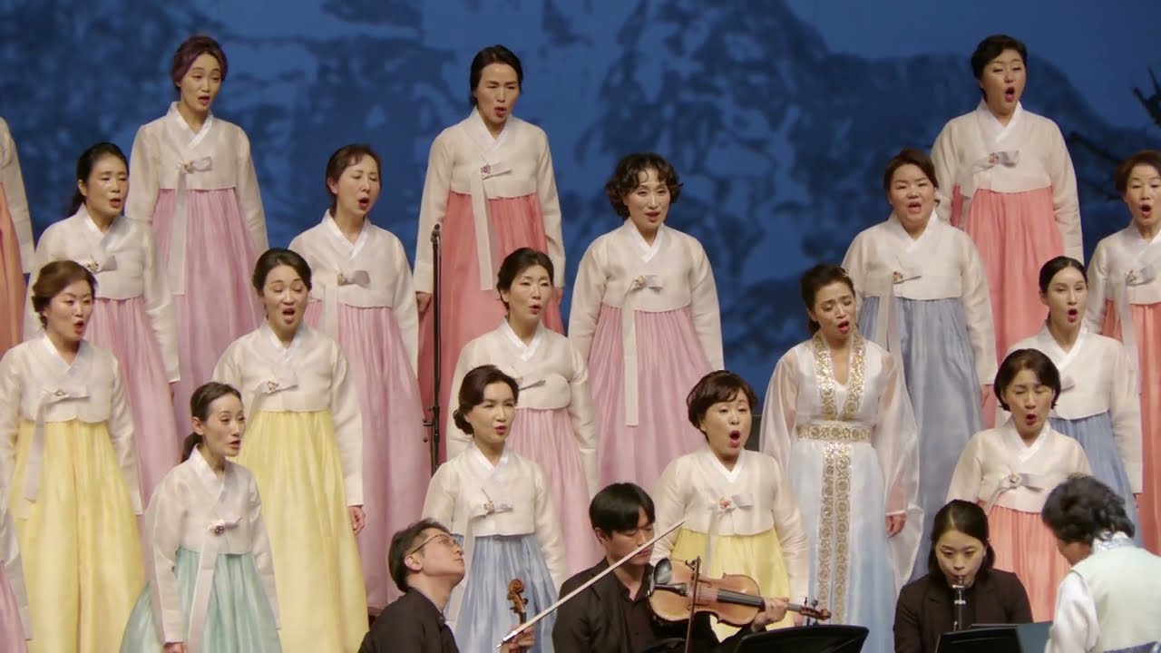 제비야 날아라, 제비노정기 / 최정연