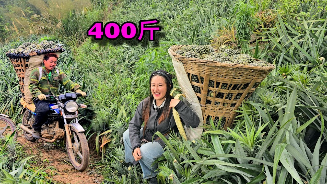 小竹徹底震驚！人力搬鳳梨一次200公斤，真的太佩服了｜越南小竹