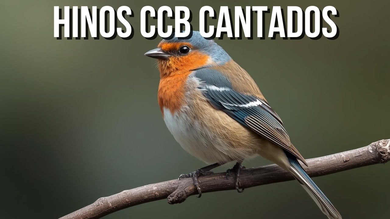 Hinos CCB Cantados Vol 56