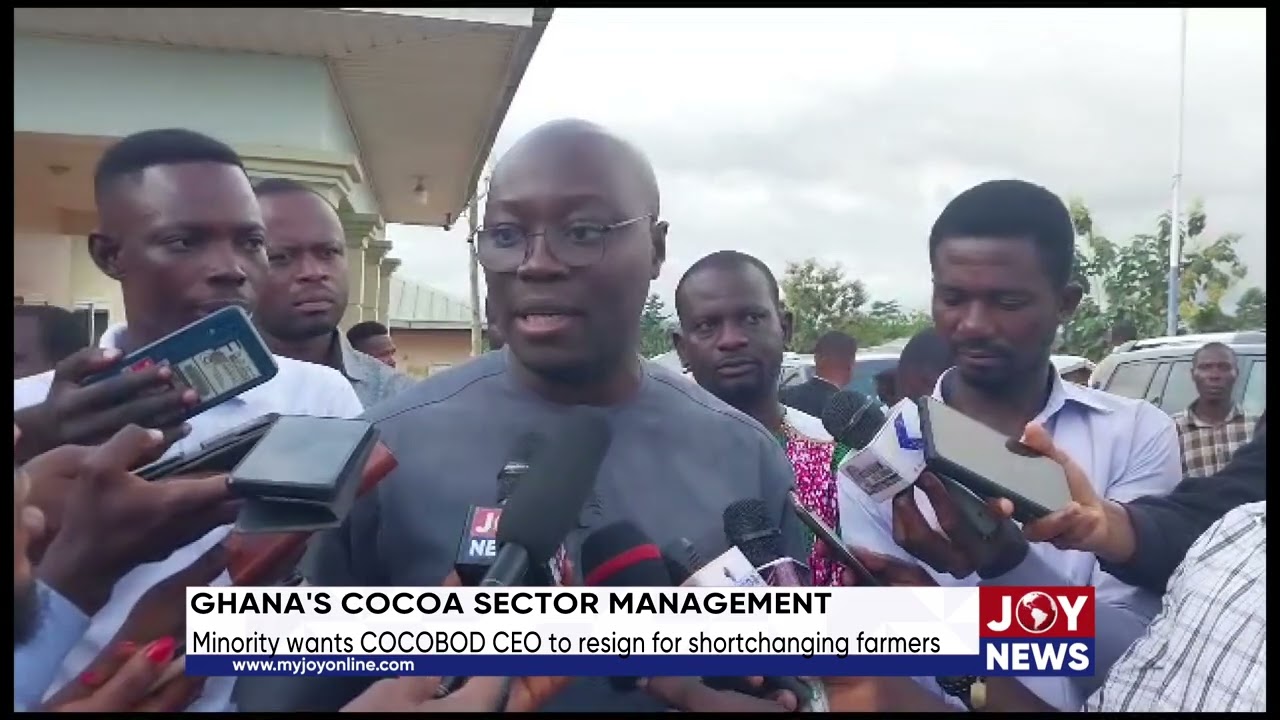 Ghana's cocoa sector management: Minority wants COCOBOD CEO to resign for shortchanging farmers