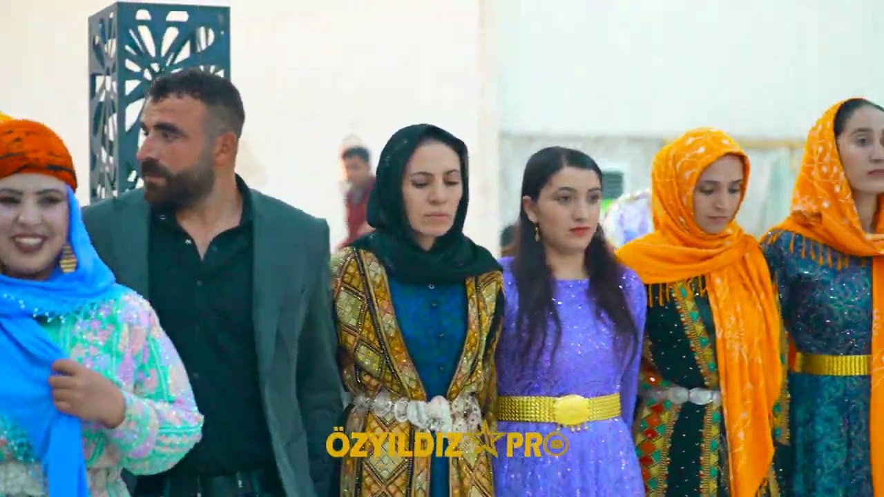 07.02.2025   Çiftimize Mutluluklar Dileriz  #halay #düğün #ozyıldızpro #kurdish #öneçıkar #kür