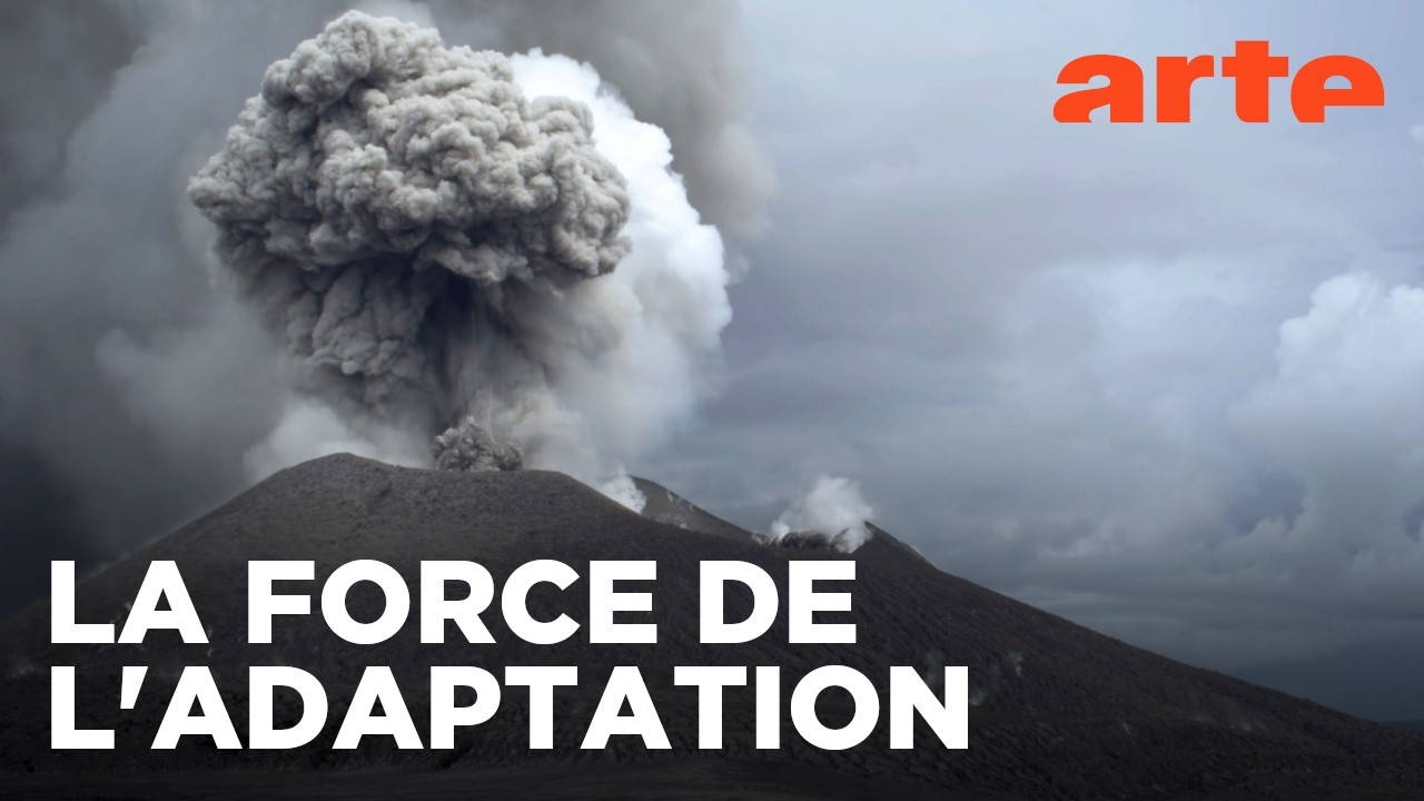 Survivre aux catastrophes : les stratégies de la nature | ARTE Évasion