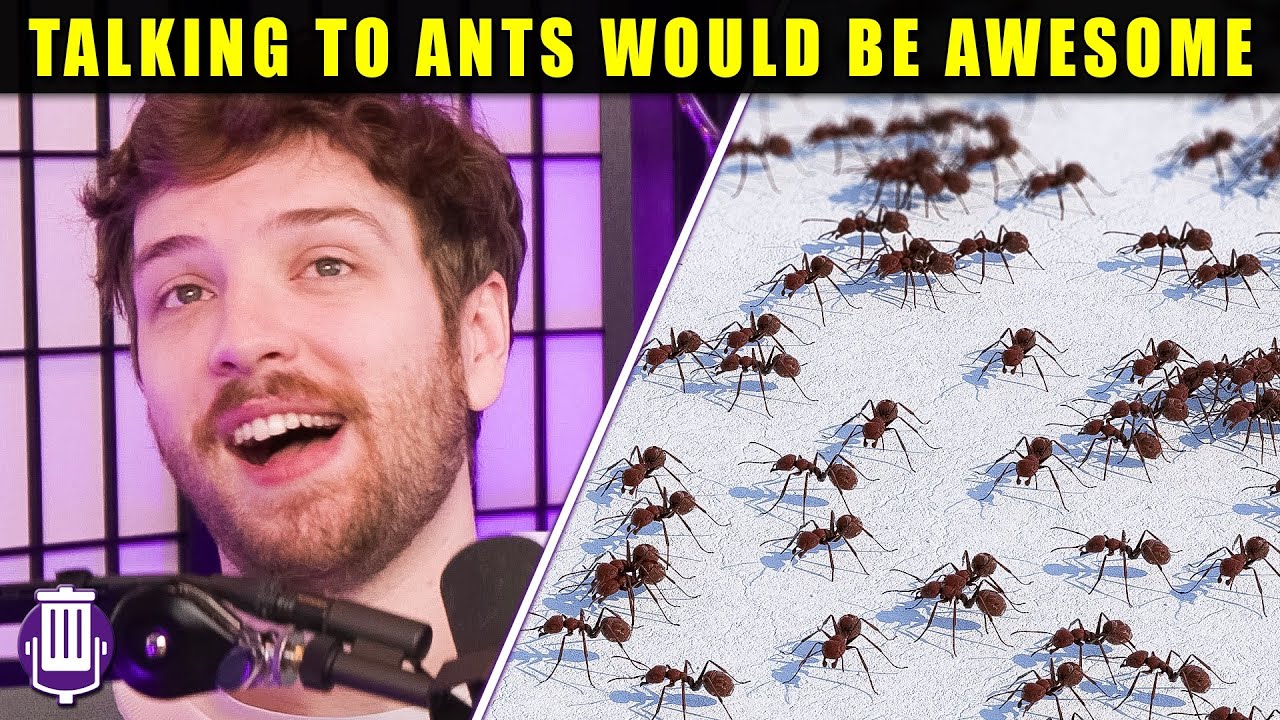 We Would be Unstoppable if we Could Talk to Ants
