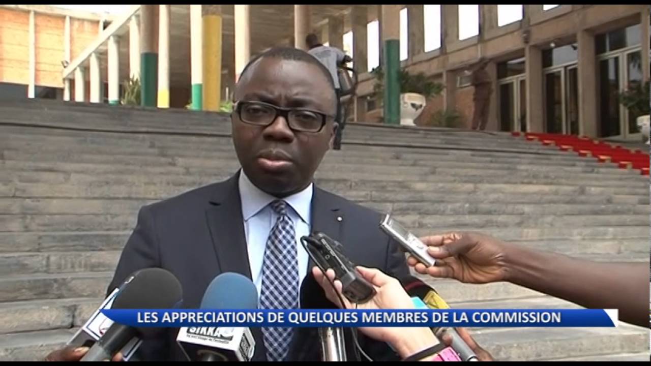 Rapport Djogbénou : quelques membres de la commission des réformes politiques apprécient