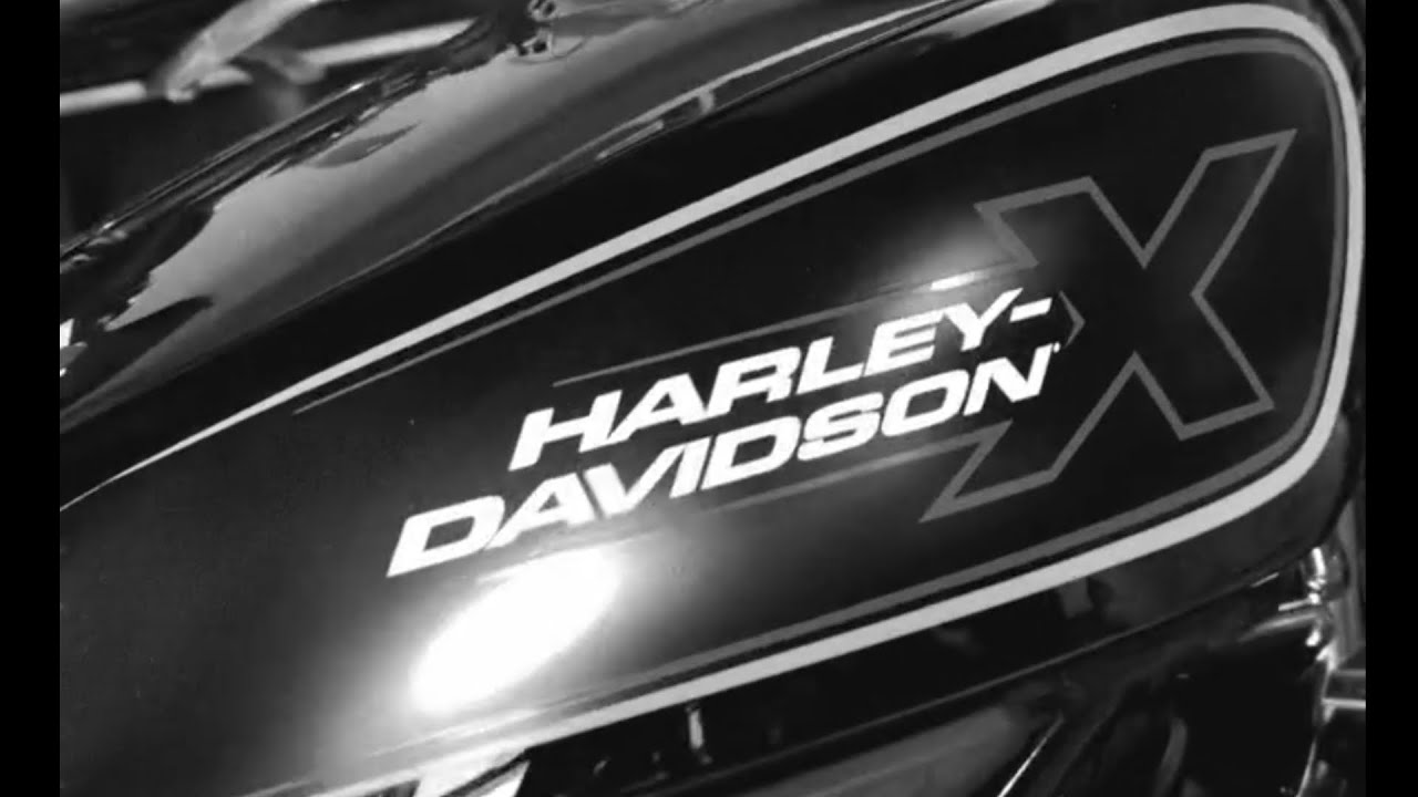 Первая самостоятельная поездка дочери на ее Harley-Davidson...💪🏻😎