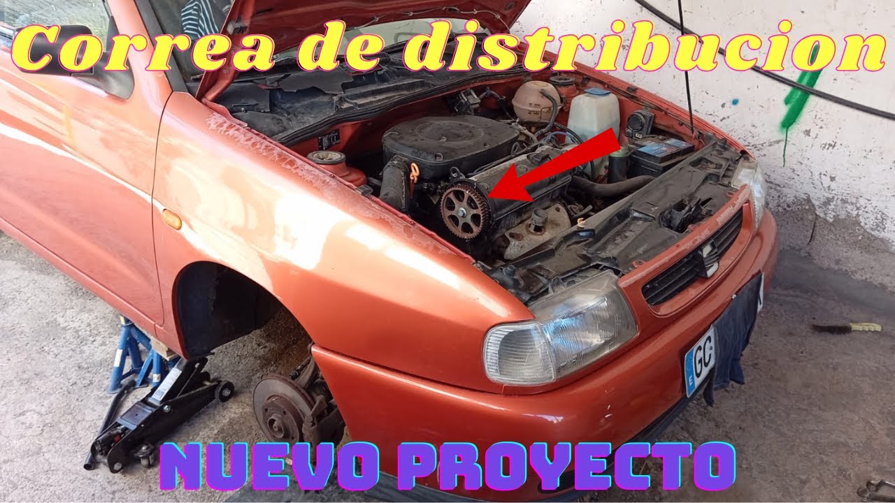Cambiar correa distribución Seat Ibiza 1.4 8v Motor AEX/APQ