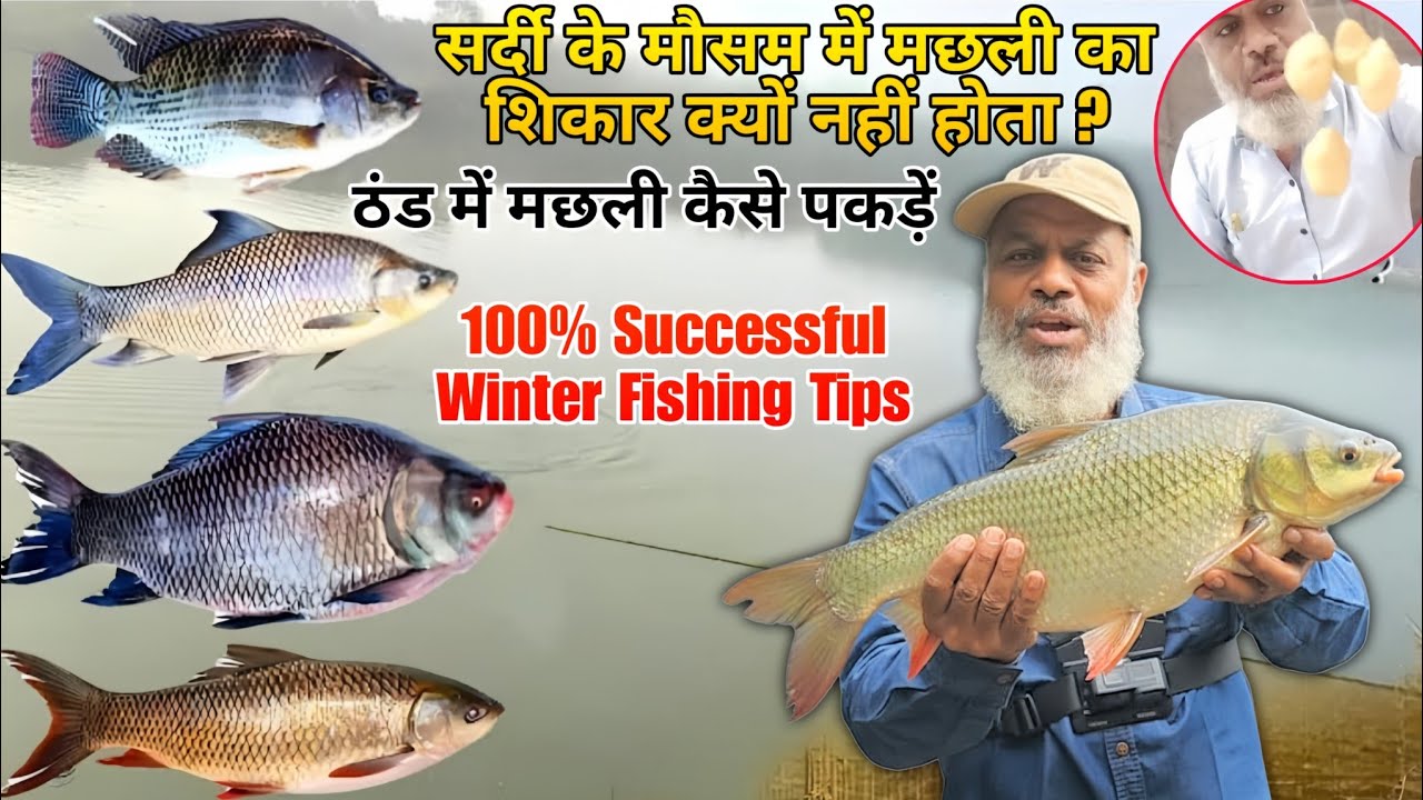 ठंडी के अंदर राहु कटला फिश  क्यों नहीं लगती#fishing #carpbait #fishingbait 