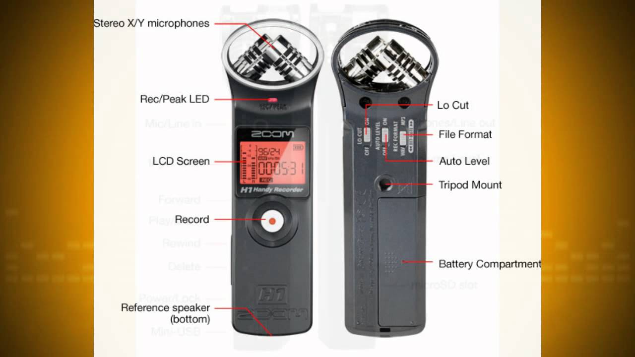 Test francais zoom h1