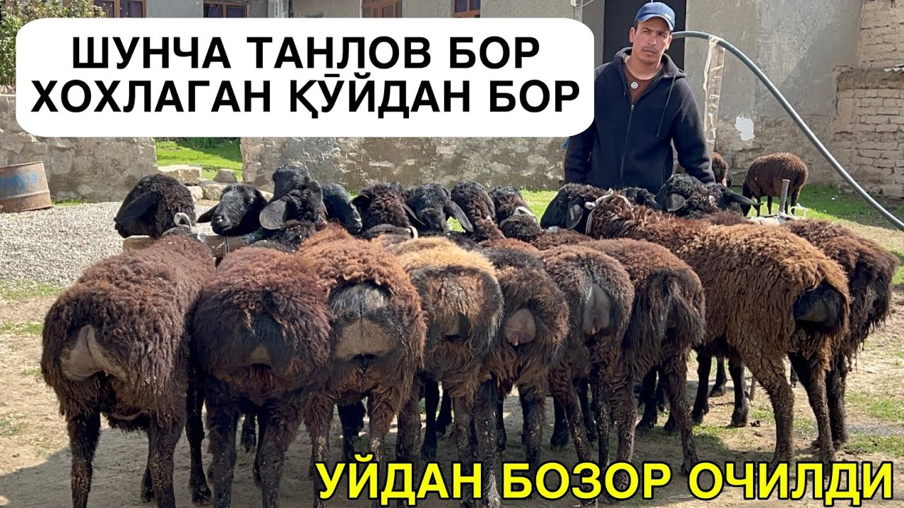 УЙ МОЛ БОЗОРИДАН. ☎️+998919459412 ☎️+998906700195
