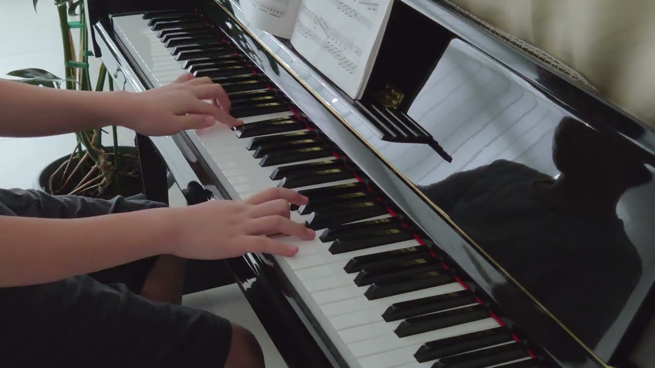 Sonata in G Major, Op. 49, No. 2 (first movement) by Ludwig van Beethoven