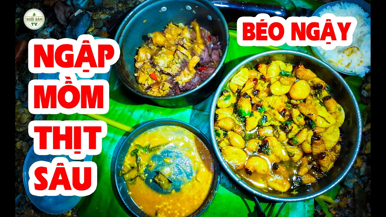 Con Sâu Béo Ngậy Lúc Nhúc Trong Thân Cây Thành Món Ngon Trong  Ngày Giá Rét Trên Rừng ✧ Suối Bản TV