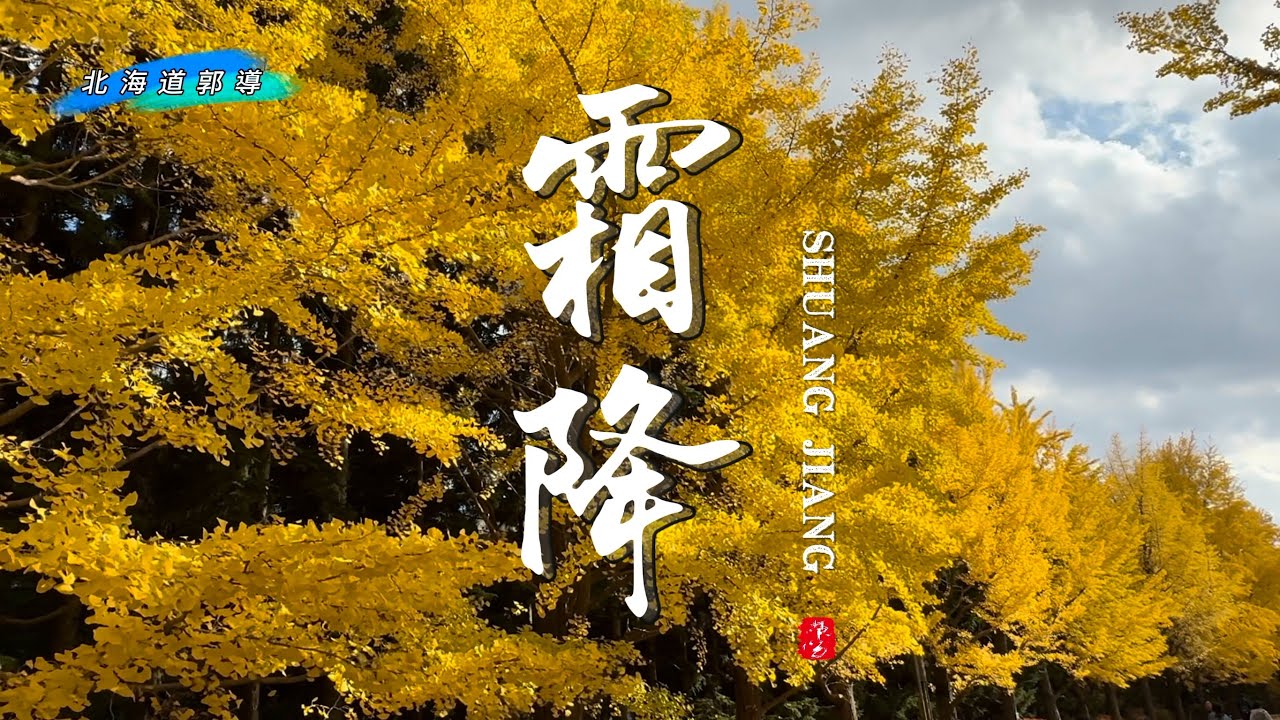 晚秋的北海道大學銀杏大道、中島公園的黃綠紅、札幌護國神社⛩️￼￼