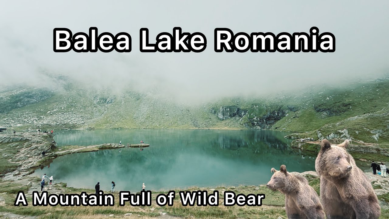 A Wild Road to Beauty: My Trip to Balea Lake & Unexpected Bear Encounter! 