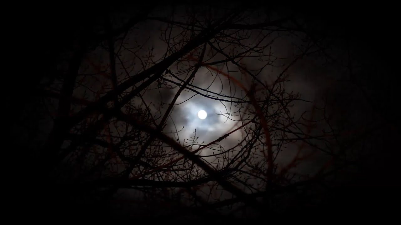 Type O Negative - Be My Druidess (Lyrics)