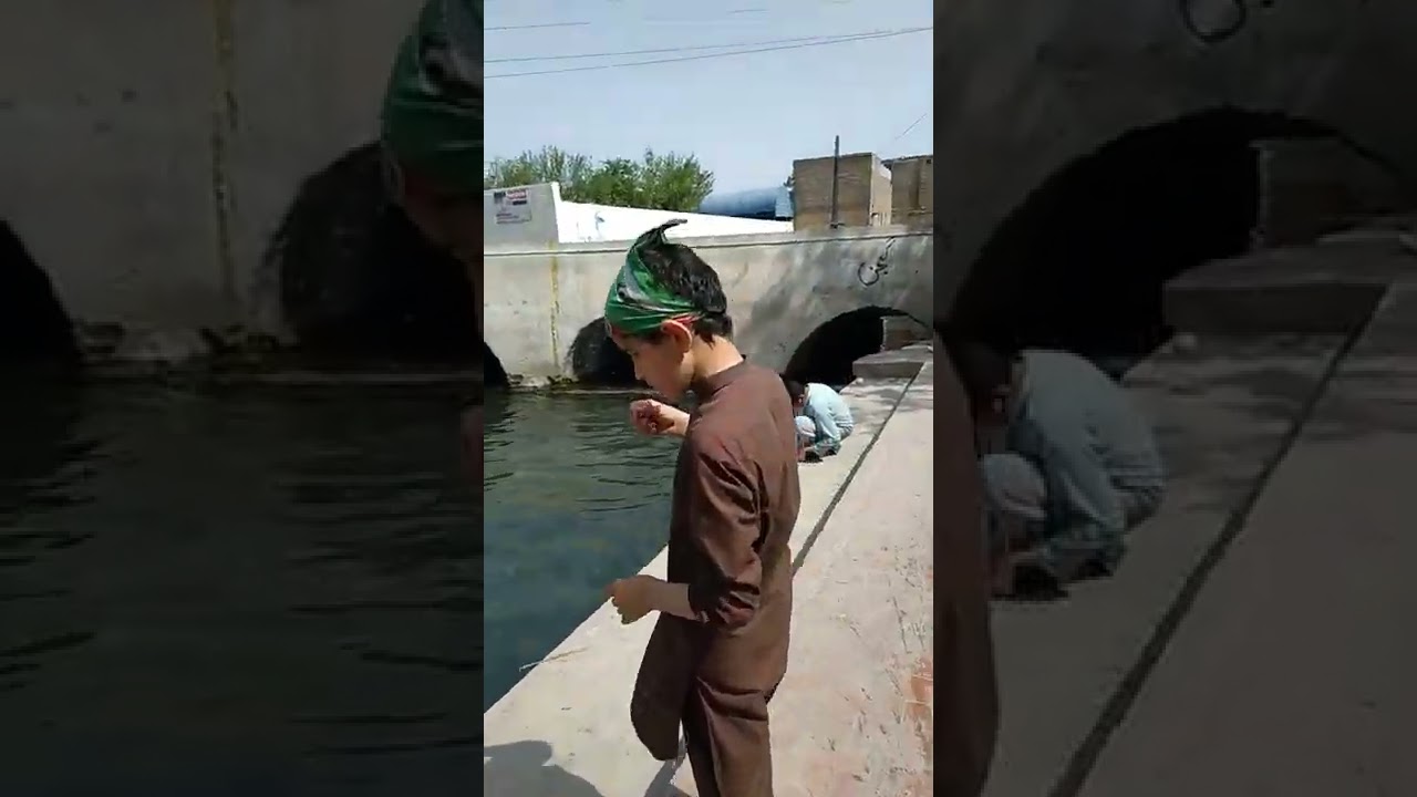 kohat china