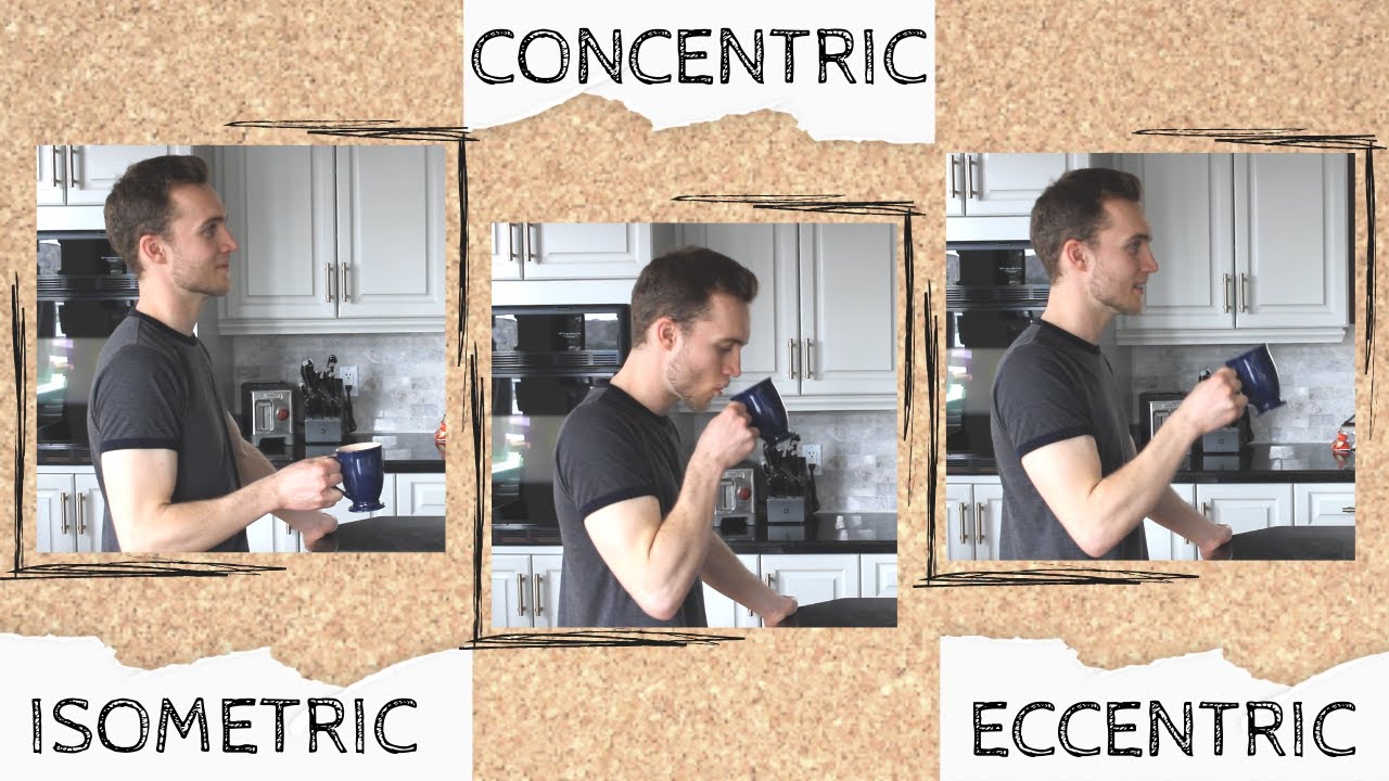 Isometric, Concentric, Eccentric | Types of Muscle Contraction Explained