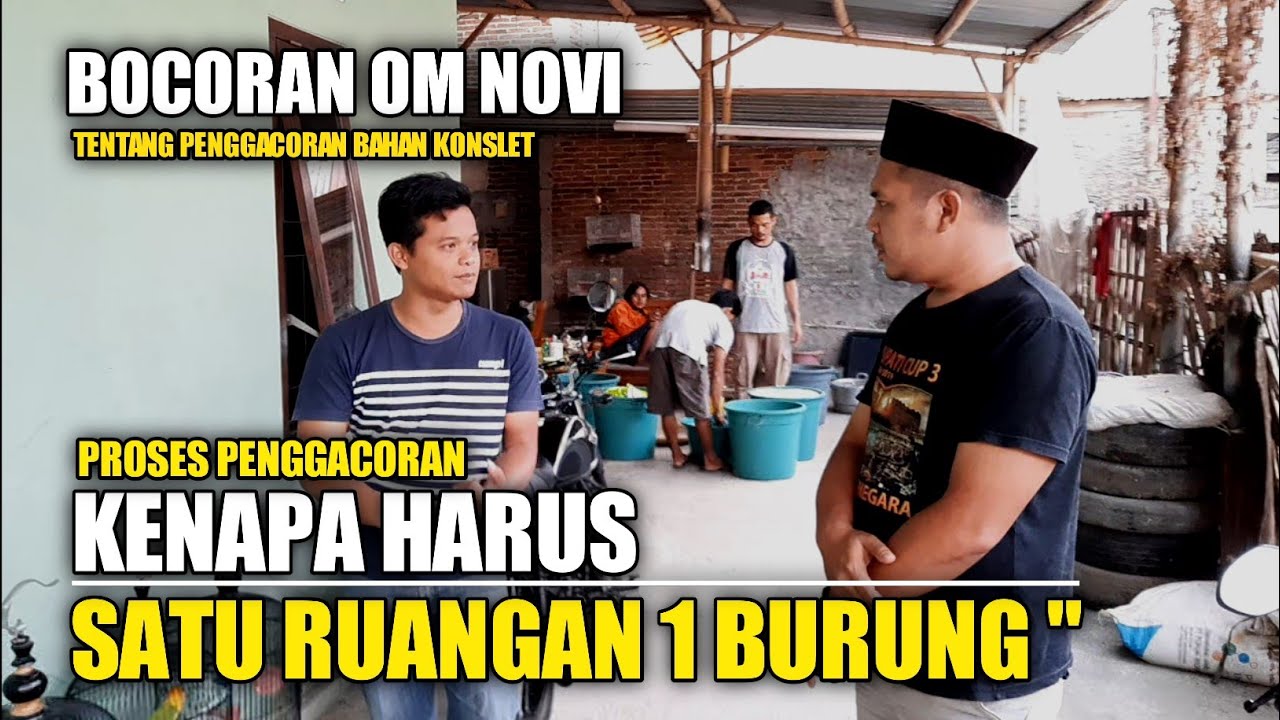 PROSES PENGGACORAN - INI ALASANNYA KENAPA HARUS SATU RUANGAN SATU BURUNG - JAWABAN OM NOVI