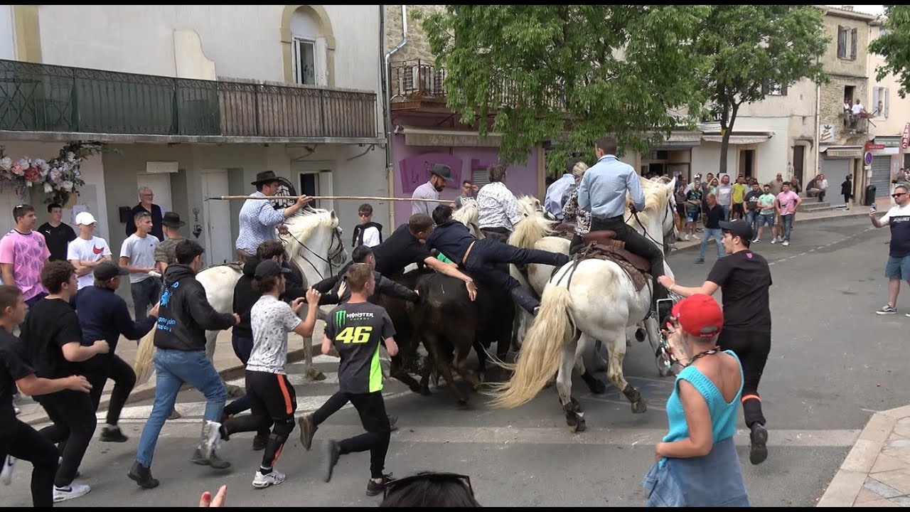 Aigues-Vives ▶ Abrivado/Bandido ▶ 08.05.2023