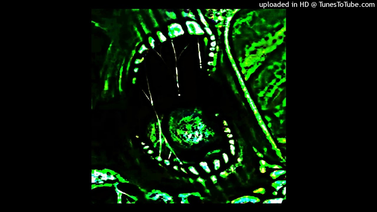 swampkill777 + frossy + bloody punk type beat