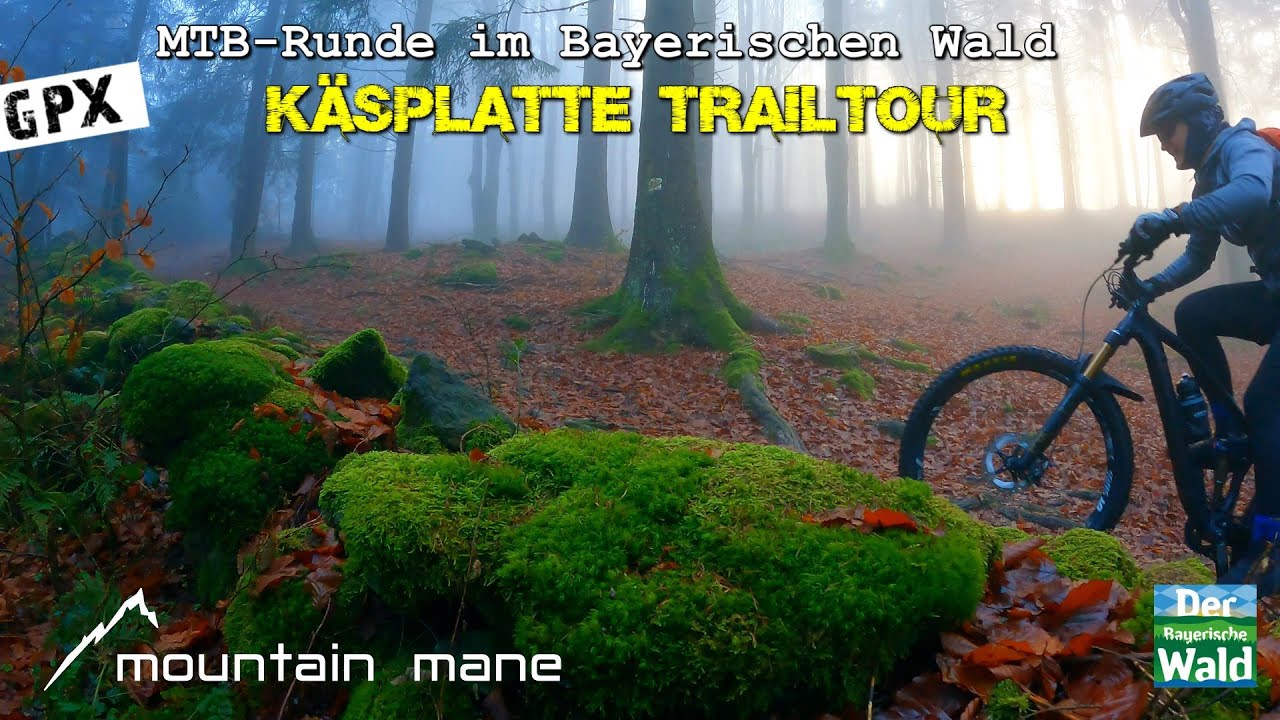 Käsplatte | MTB-Trailtour Bayerischer Wald | St. Englmar