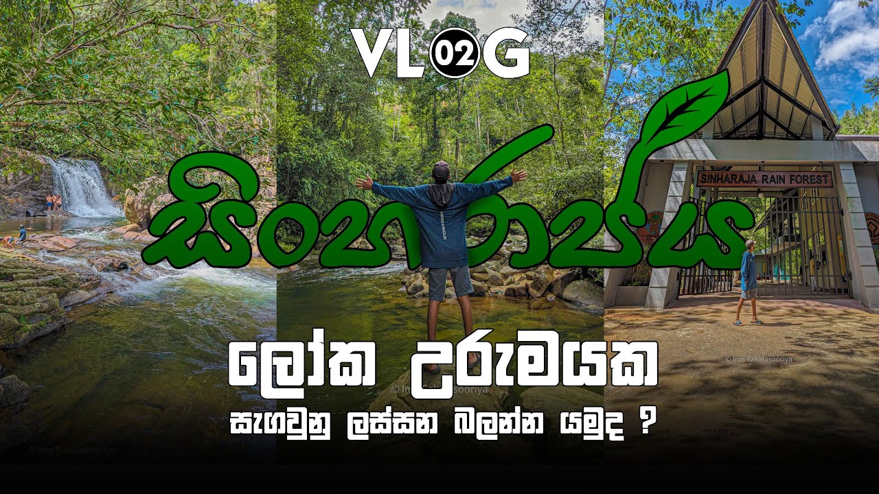 සිංහරාජය|Sinharaja Rain Forest.ලෝක උරුමයක සැගවුනු ලස්සන බලන්න යමු          