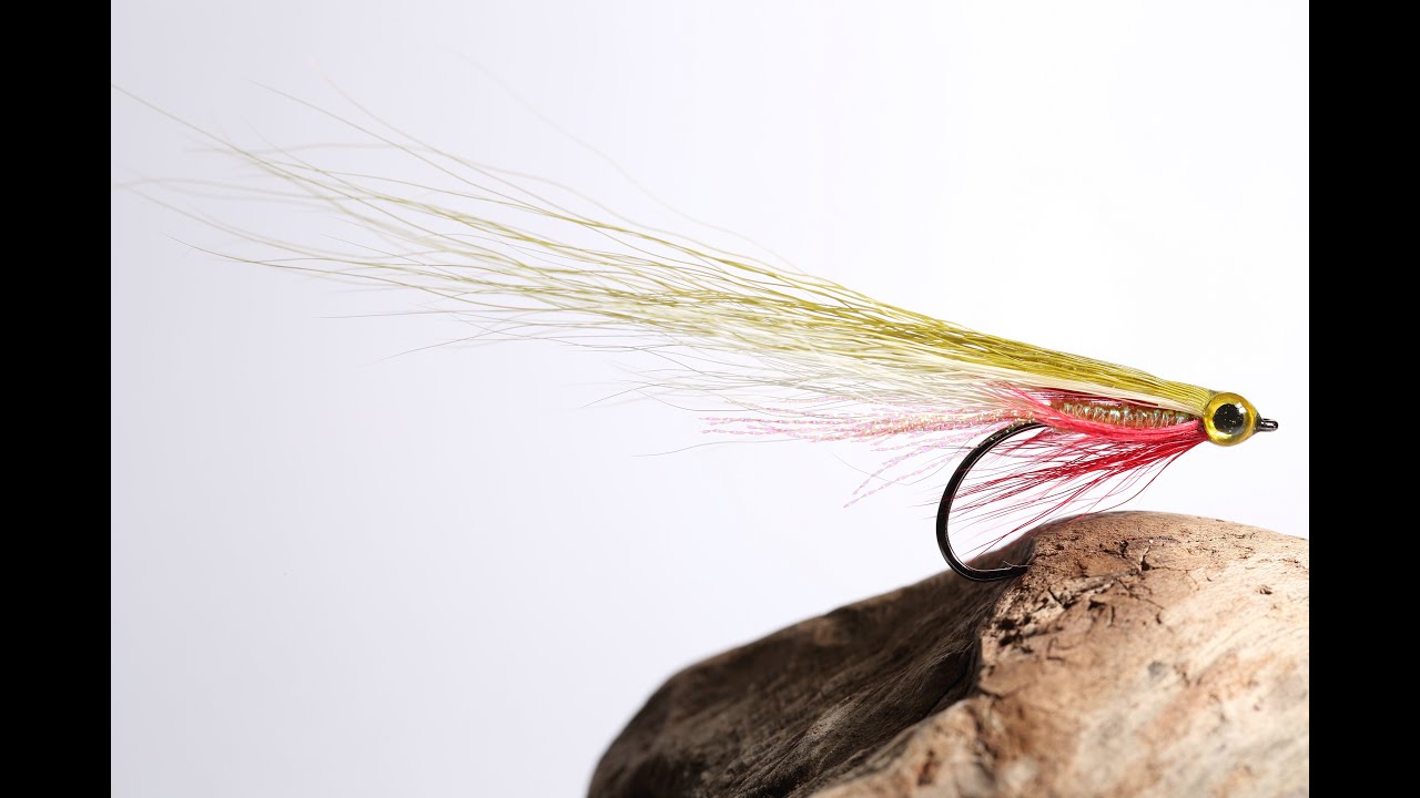 Fliegenbinden | Fly Tying | Bucky | Streamer für Meerforelle, Barsch, Rapfen | Sea Trout, Bass, Asp