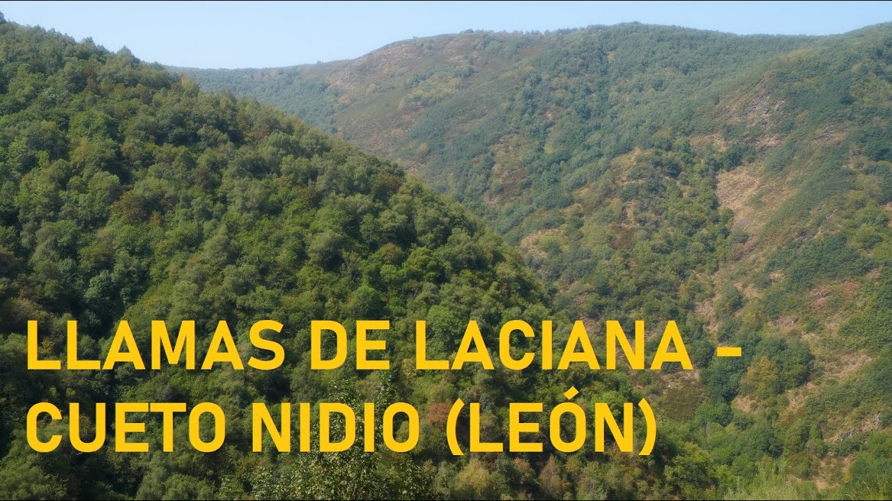 Llamas de Laciana - Cueto Nidio  (1773 m) -Laciana, León-