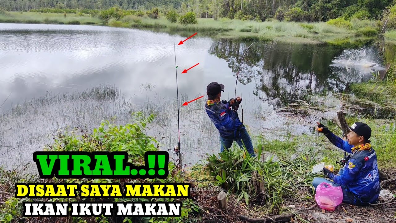 VIRAL..!!Mancing Ikan Besar Saya Makan Ikan Ikut Makan
