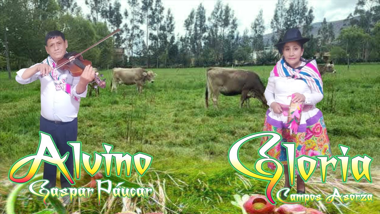 AlVINO GASPAR Y GLORIA CAMPOS 🎻✌️🇵🇪🐄 CINTACHICUY SHACATÁN 2021