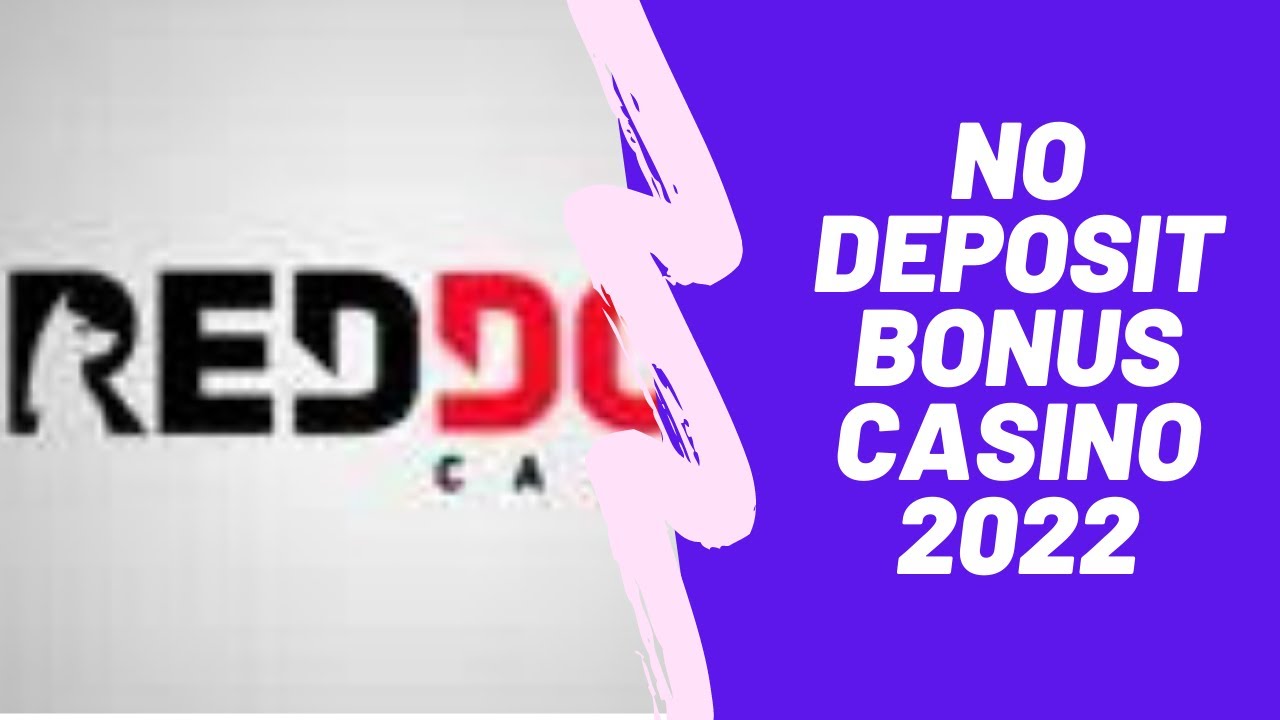 No Deposit Bonus Casino 2022 | Springbok Casino