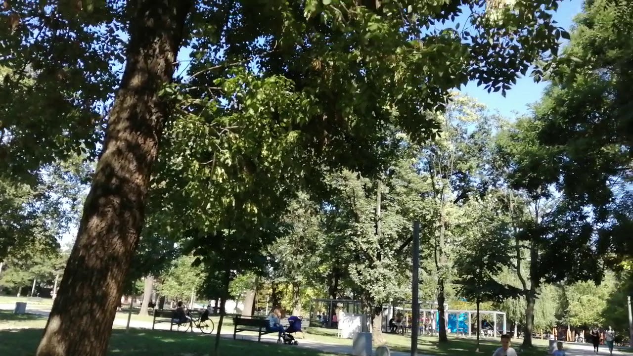 Tasmajdan park Beograd