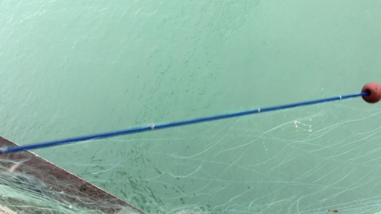 Giornata di pesca al Trabocco Pesce Palombo