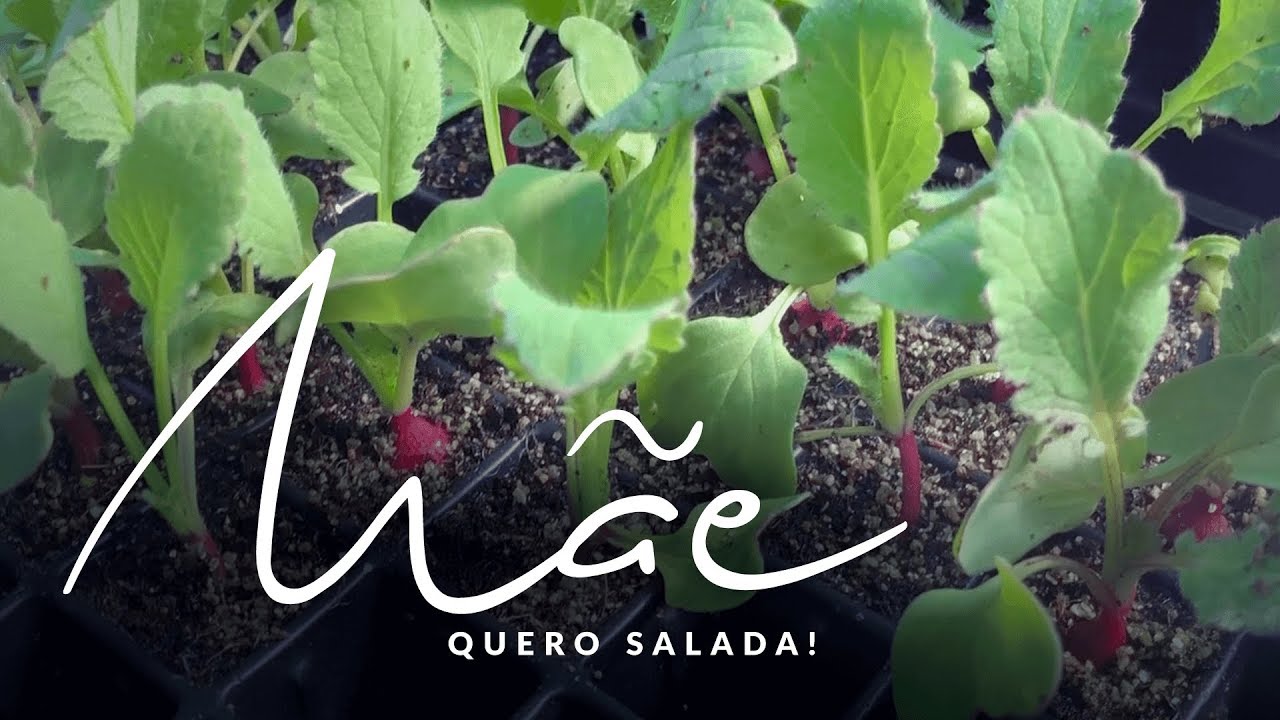 Jardim das Ideias #40: Mãe, eu quero salada