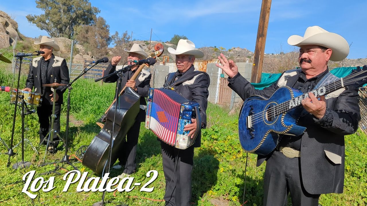 Corrido del Gato - Grupo Norteño Los Platea-2 #regionalmexicano #viejitasperobonitas #chirrines