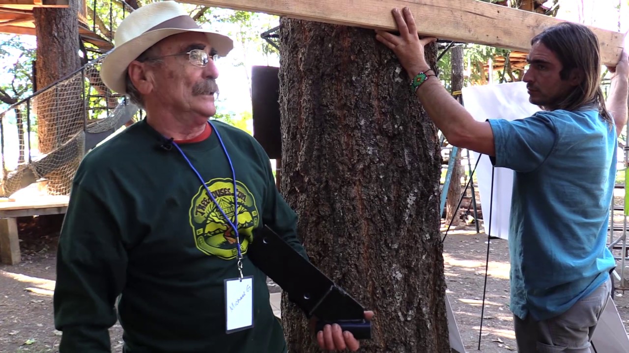 WTC Bracketree with Michael Garnier
