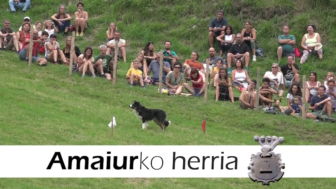 ARTZAIN TXAKUR LEHIAKETA 2023 l AMAIUR