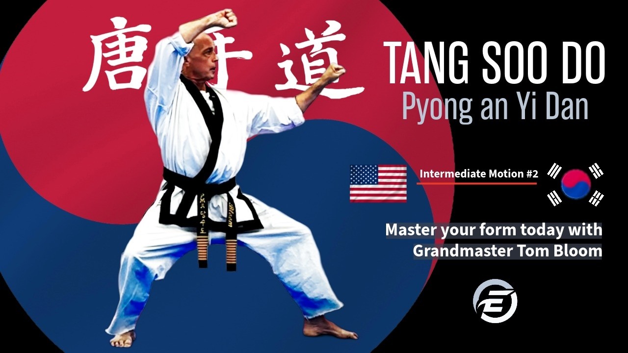 Pyong An Yi Dan of Tang Soo Do - Learn at Home