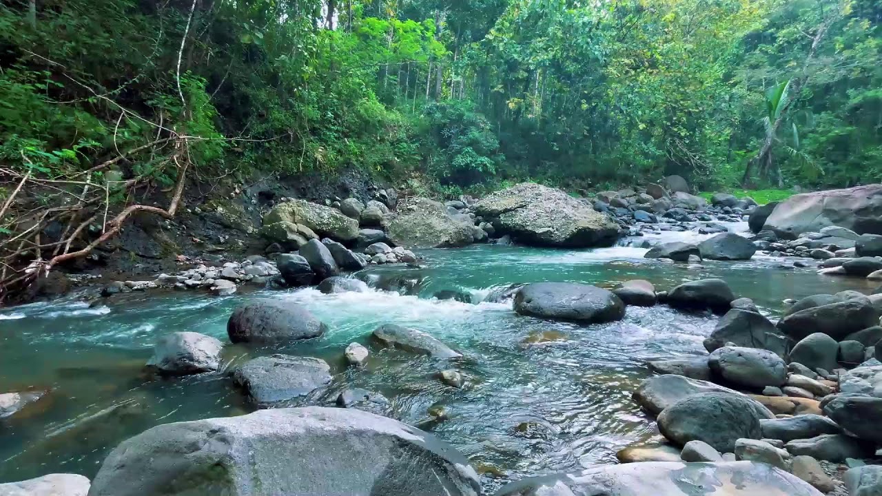 Gentle River Sounds for Sleeping, River Sounds for relaxation, Water Sounds for stress relief