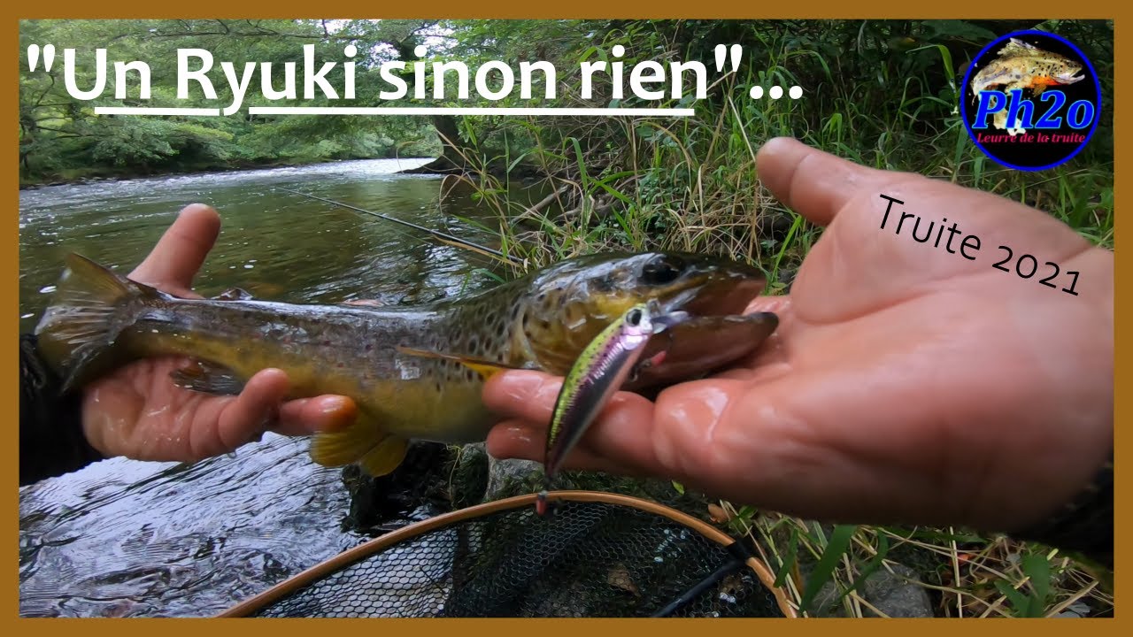 Un Ryuki sinon rien _ Truite aux leurres 2021