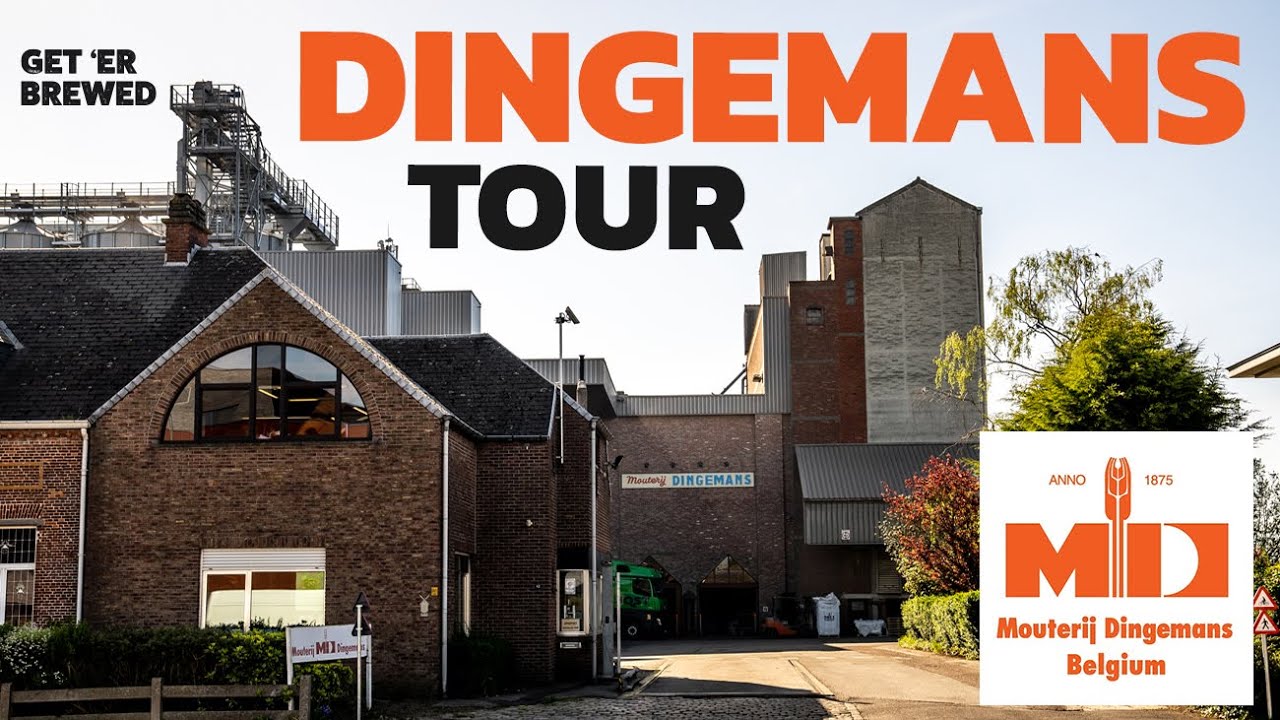 Behind the scenes at  Dingemans Malting - true Belgian Malt Sensory Experience