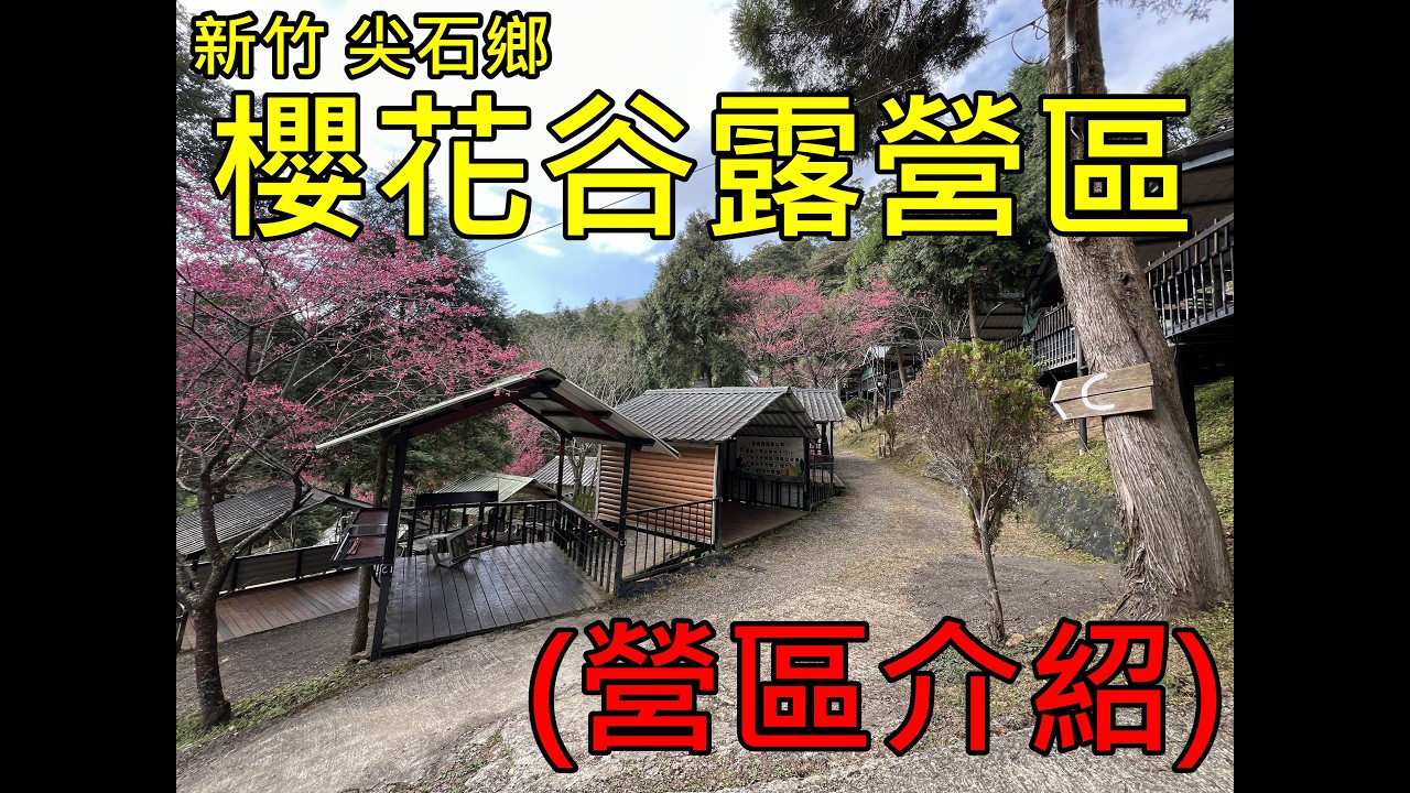 【一百種生活(露營篇)】櫻花谷露營區｜新手露營｜露營區｜雨棚｜車宿｜新竹｜尖石鄉