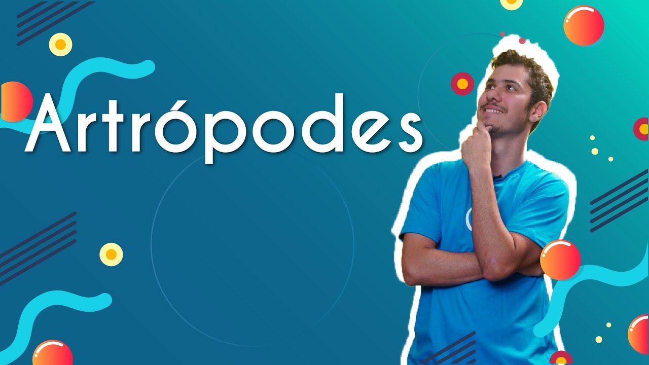 Artrópodes - Brasil Escola