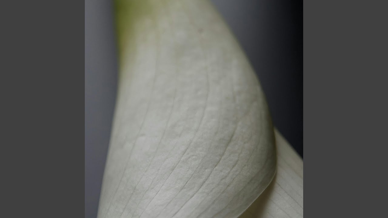 Gasar Downhearted Skies