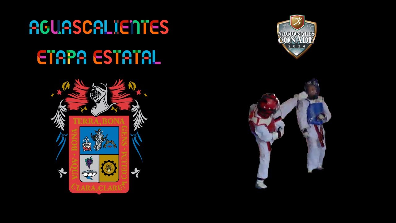 🔵 Ivon E. Olvera 🇲🇽 vs 🇲🇽 A. Victoria Santiago 🔴 Infantil W. -30 kg. Final @ Estatal #AGS #Taekwondo